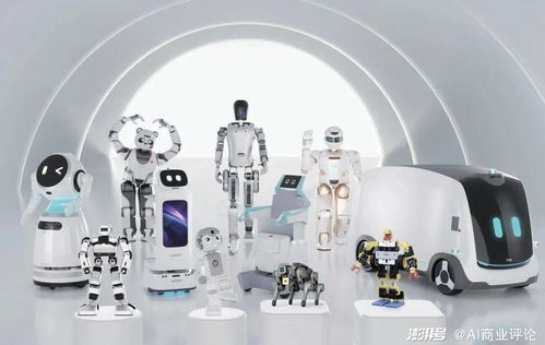 11年磨一劍 人形機器人第一股IPO，49億美金市值背后的具身智能風(fēng)暴與軟件外包服務(wù)