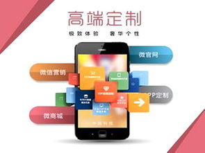 張家口軟件項(xiàng)目外包 打造本地生活服務(wù)平臺(tái)的策略與挑戰(zhàn)